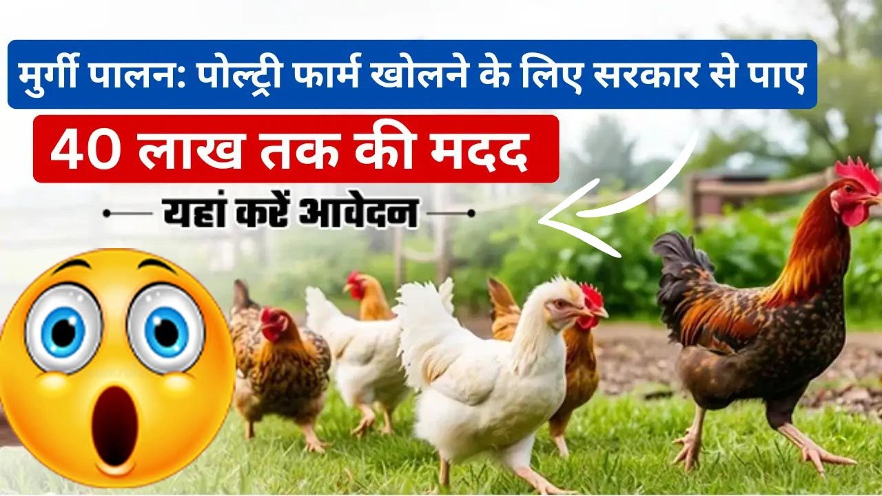 Poultry Farm Loan Yojana